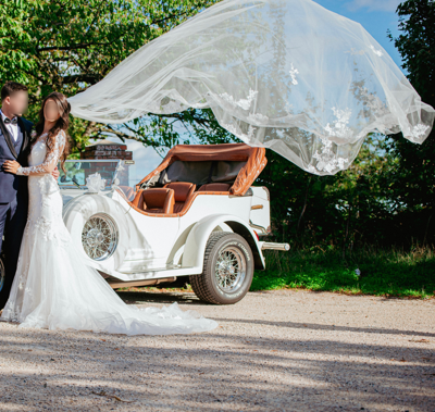 Robe de mariée Nicole Milano (maison Pronovias) d'occasion pas chère taille 42 - Joyne