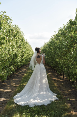 Robe de mariée Justin Alexander d'occasion pas chère taille 36,38 - Joyne